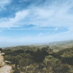 What to Expect During a Criminal Defense Attorney Consultation: A Practical Guide